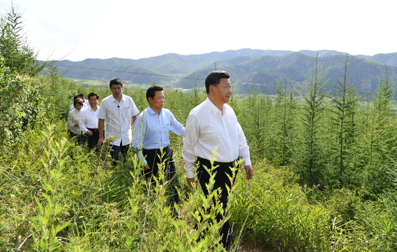 7月15日至16日，中共中央總書記、國(guó)家主席、中央軍委主席習(xí)近平在內(nèi)蒙古考察并指導(dǎo)開(kāi)展“不忘初心、牢記使命”主題教育。這是15日下午，習(xí)近平在赤峰市喀喇沁旗馬鞍山林場(chǎng)林區(qū)，沿著崎嶇的護(hù)林小道察看林木長(zhǎng)勢(shì)。